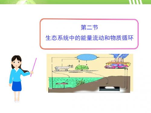 《生态系统中的能量流动和物质循环》PPT (共18张PPT)