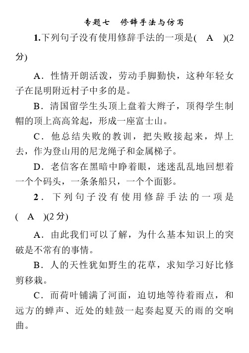 中考语文复习专题七 修辞手法与仿写 (2)