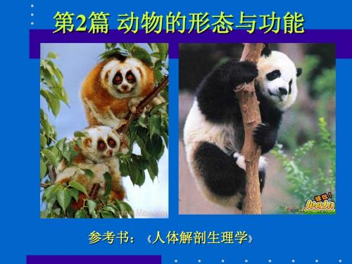 第6章.高等动物的结构与功能