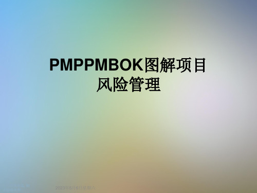 PMPPMBOK图解项目风险管理