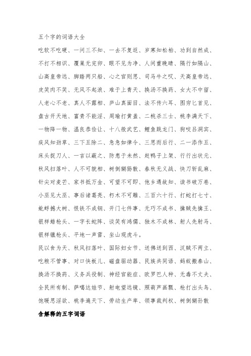 五个字的词语大全