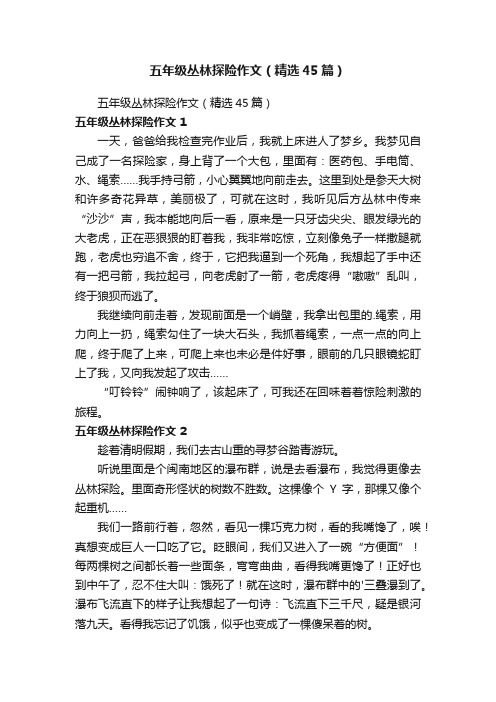 五年级丛林探险作文