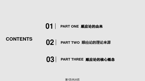 顺应论概况PPT课件