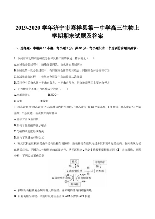 2019-2020学年济宁市嘉祥县第一中学高三生物上学期期末试题及答案