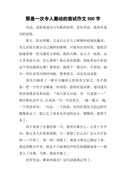 那是一次令人激动的尝试作文500字