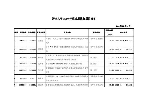 济南大学2010进展报告项目清单