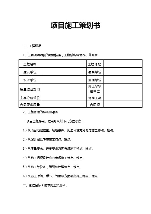 项目施工策划书