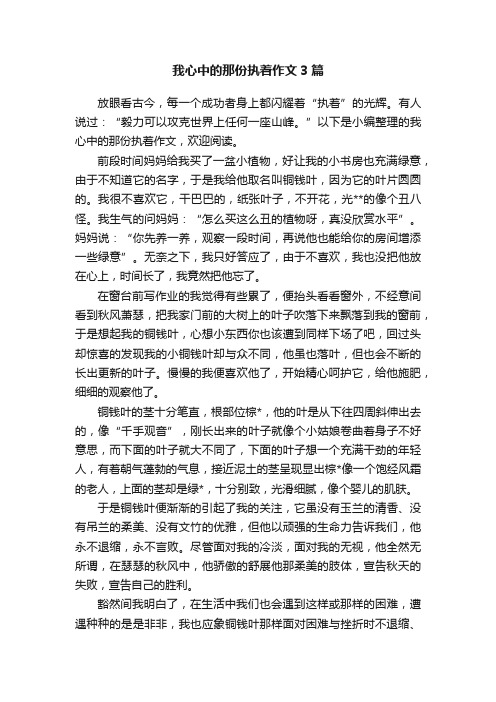 我心中的那份执着作文3篇