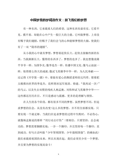 中国梦我的梦精选作文：放飞我们的梦想