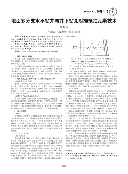 地面多分支水平钻井与井下钻孔对接预抽瓦斯技术