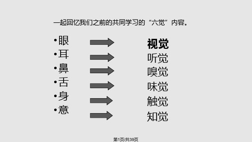 五感六觉PPT课件