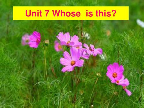 湘少版四年级英语上册Unit 7 Whose  is this课件