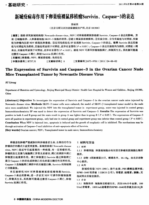 新城疫病毒作用下卵巢癌裸鼠移植瘤Survivin、Caspase-3的表达
