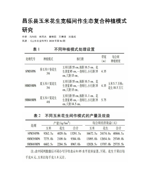 昌乐县玉米花生宽幅间作生态复合种植模式研究