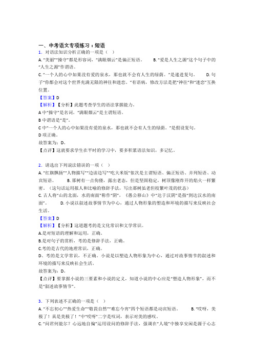 中考语文 短语阅读训练及答案(Word版)