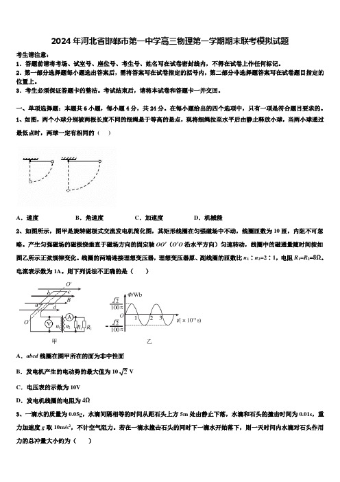 2024年河北省邯郸市第一中学高三物理第一学期期末联考模拟试题含解析