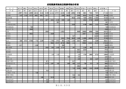 应收账款明细及账龄分析表