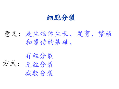 高一生物必修有丝分裂和减数分裂的比较PPT课件