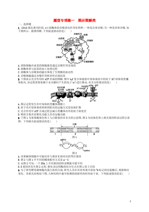 人教版2020版高考生物大二轮复习 题型增分练：题型专项练1 图示图解类