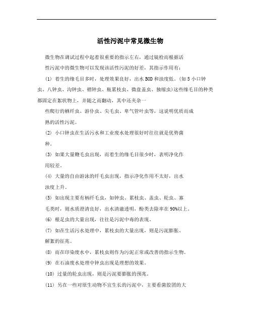 活性污泥中常见微生物