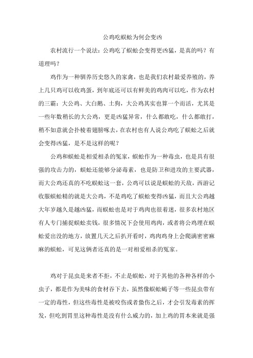 公鸡吃蜈蚣为何会变凶