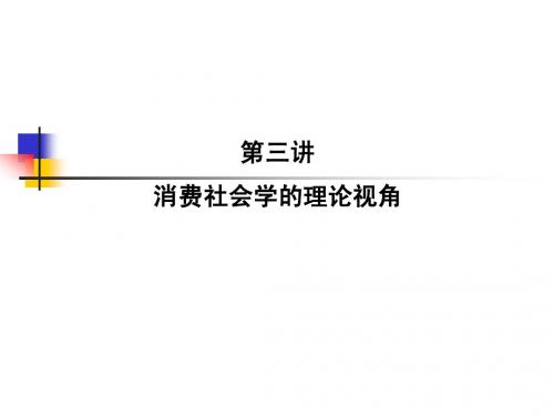 消费社会学的理论视角