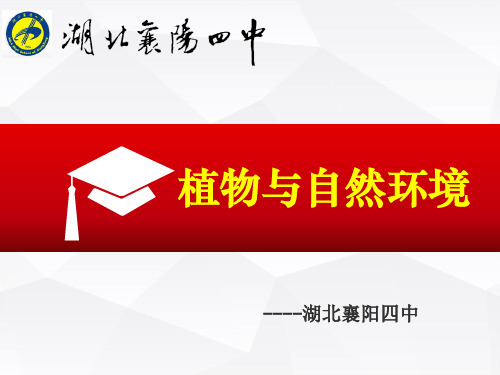 高中地理专题复习植被与自然环境定稿(共36张PPT)