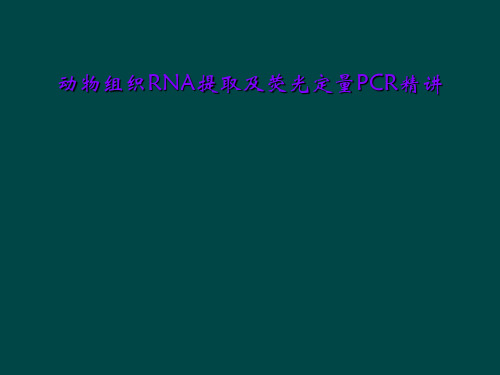 动物组织RNA提取及荧光定量PCR精讲