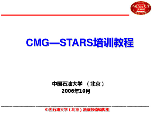 CMG—STARS培训教程