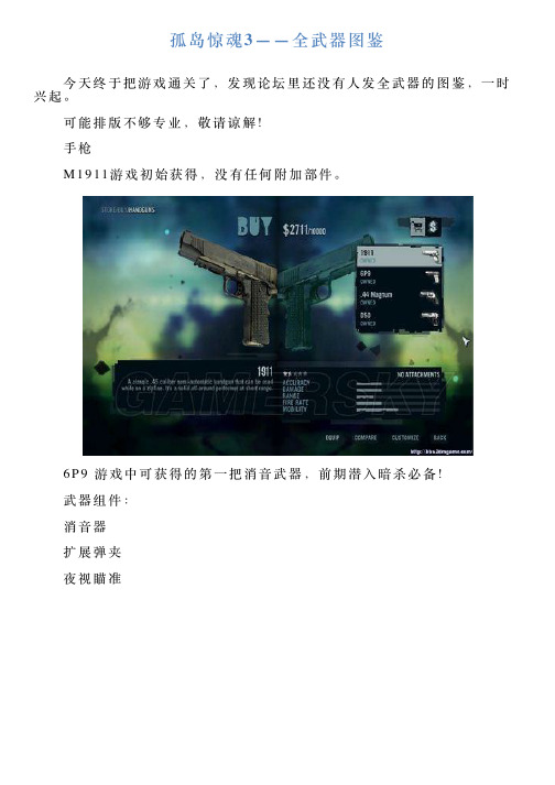 孤岛惊魂3——全武器图鉴