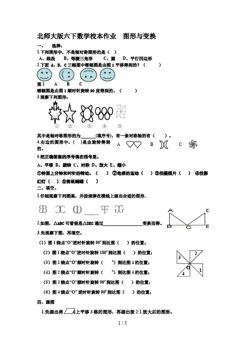 北师大版六下数学校本作业图形与变换