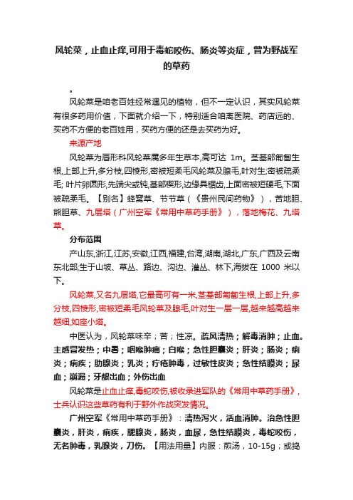 风轮菜，止血止痒,可用于毒蛇咬伤、肠炎等炎症，曾为野战军的草药