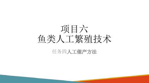 鱼类人工繁殖技术—人工催产