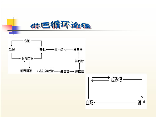 淋巴引流按摩