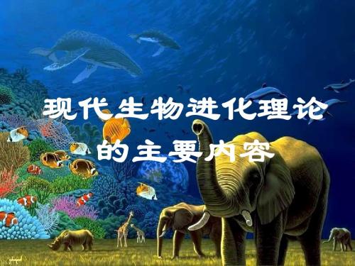 现代生物进化理论的主要内容