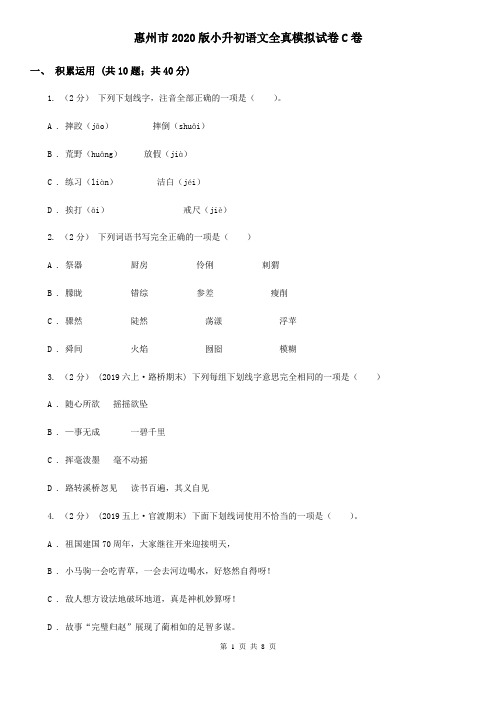 惠州市2020版小升初语文全真模拟试卷C卷