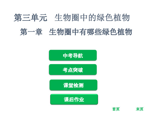 2019年中考生物复习课件：第三单元 第一章   生物圈中有哪些绿色植物(共59页)