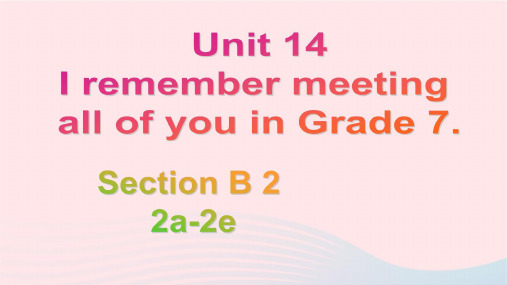 英语九年级全册Unit14B2a-2e教学课件 人教新目标版