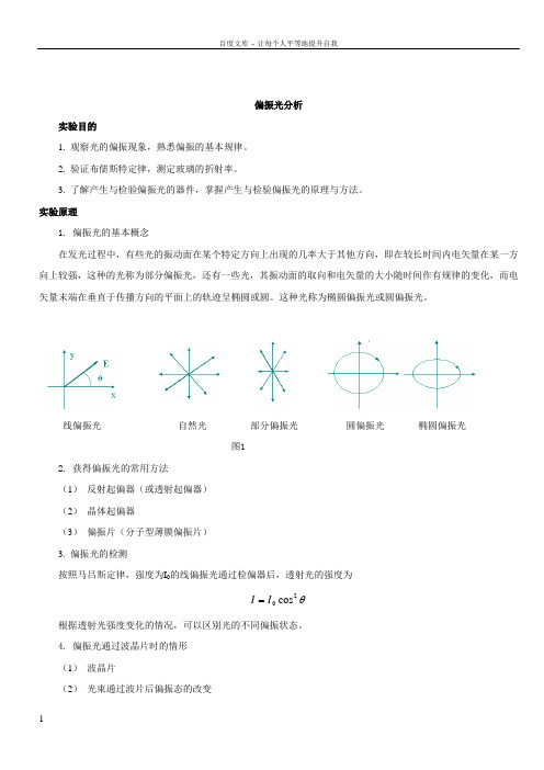 偏振光分析试做报告