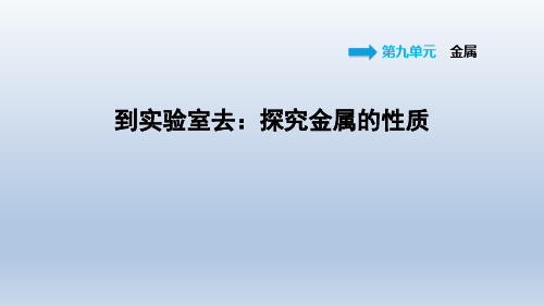 2021春鲁教版九年级化学下册课件第9单元 到实验室去:探究金属的性质