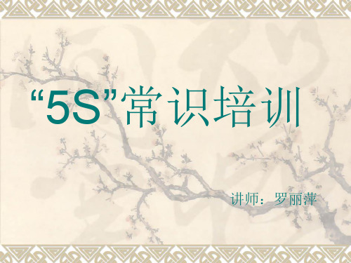 “5S”常识