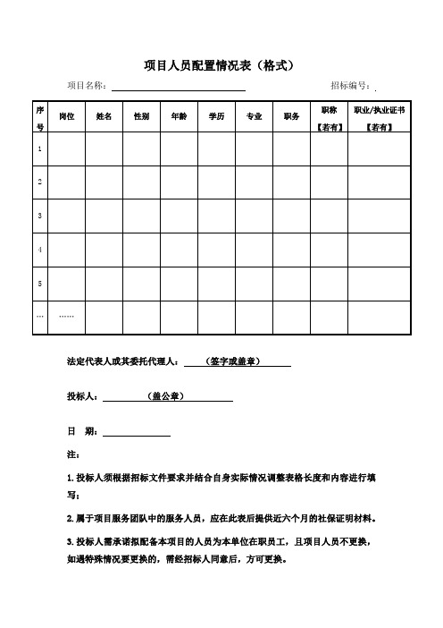 项目人员配置情况表(格式)