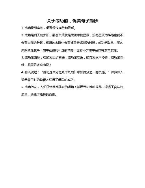 关于成功的,优美句子摘抄