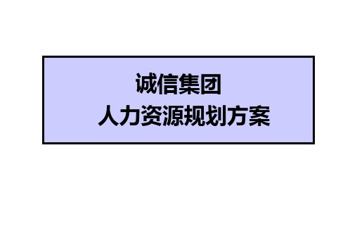 人力资源规划方案(案例完整版)