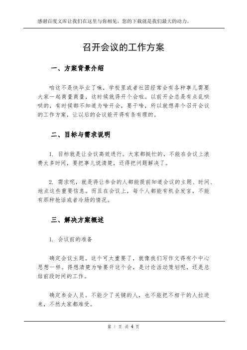 召开会议的工作方案