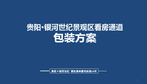 房地产看房通道包装方案ppt课件