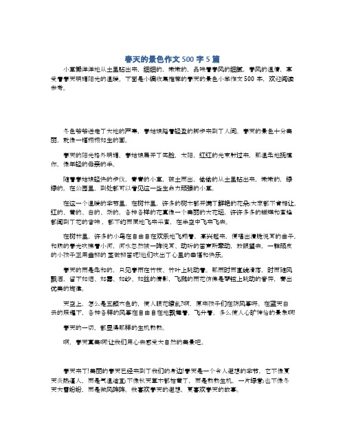 春天的景色作文500字5篇