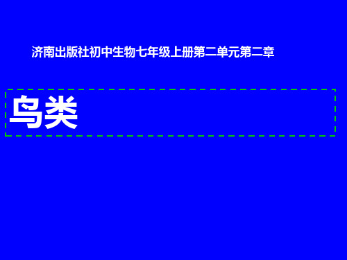 济南版生物七年级上册2.2.2 脊椎动物的主要类群--鸟类 课件 (1)