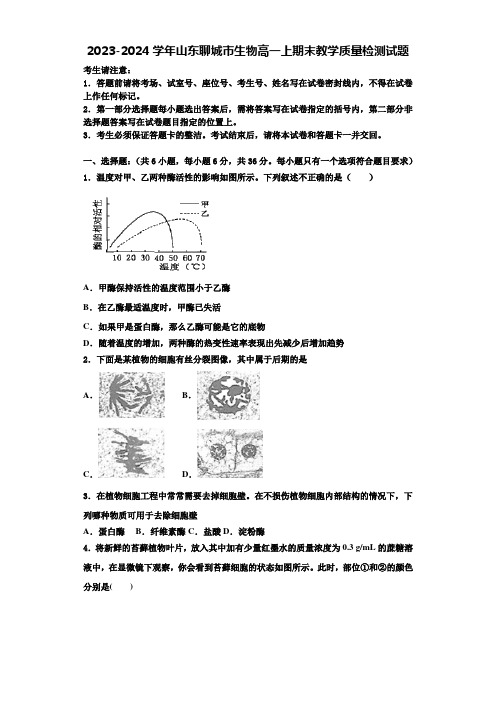 2023-2024学年山东聊城市生物高一上期末教学质量检测试题含解析