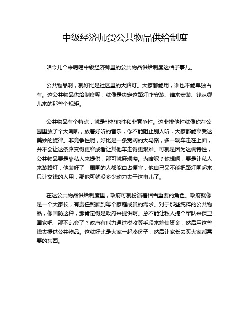 中级经济师货公共物品供给制度